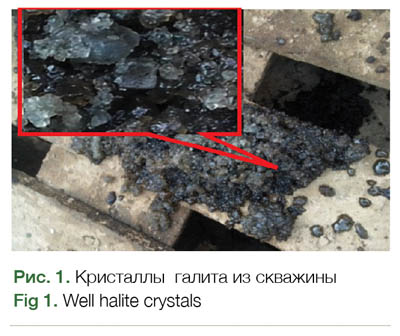 Verkhnechonskoye Halite Crystals on the Screens