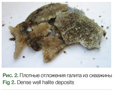 Verkhnechonskoye Halite Deposits